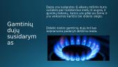 Skaidrės. Gamtinės dujos 2 puslapis