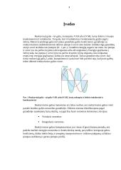 Reaktyvinės galios matavimas ir kompensavimas 3 puslapis