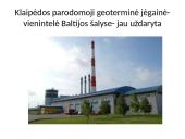 Lietuvos energetika (skaidrės) 11 puslapis