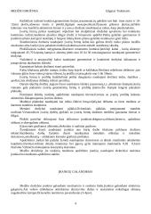 Medžio drožyba 4 puslapis