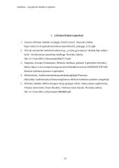 Referatas apie dirbtinį intelektą (DI) 11 puslapis