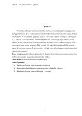 Referatas apie dirbtinį intelektą (DI) 2 puslapis