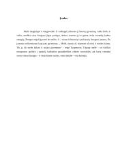 Meilės sampratos 2 puslapis