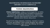 Rizikos žmogaus fizinei ir psichinei sveikatai naudojant skaitmenines technologijas 9 puslapis