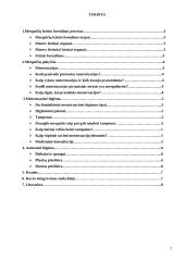 Mergaičių lytinis brendimas ir higiena 2 puslapis