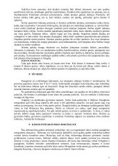 Mergaičių lytinis brendimas ir higiena 7 puslapis