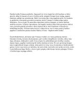 Riteris ir riteriškumas. Kova už gėrį 2 puslapis