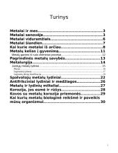 Metalai, jų lydiniai bei panaudojimas 2 puslapis