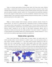 Metalai, jų lydiniai bei panaudojimas 11 puslapis