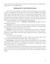 Metalai, jų lydiniai bei panaudojimas 12 puslapis