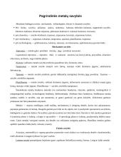 Metalai, jų lydiniai bei panaudojimas 13 puslapis