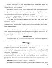 Metalai, jų lydiniai bei panaudojimas 14 puslapis