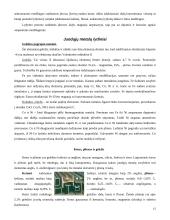 Metalai, jų lydiniai bei panaudojimas 15 puslapis