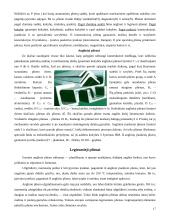 Metalai, jų lydiniai bei panaudojimas 17 puslapis