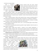 Metalai, jų lydiniai bei panaudojimas 20 puslapis