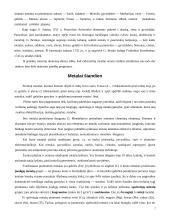 Metalai, jų lydiniai bei panaudojimas 7 puslapis