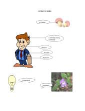 Metalų poveikis aplinkai ir žmogui 4 puslapis