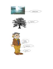 Metalų poveikis aplinkai ir žmogui 8 puslapis