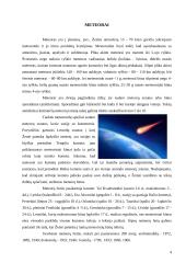 Meteoroidai, meteorai bei meteoritai 4 puslapis