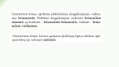 Taisyklingieji daugiakampiai. Taisyklingoji prizmė. Taisyklingoji piramidė 3 puslapis