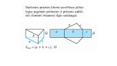 Prizmė. Prizmės paviršiaus plotas ir tūris 12 puslapis