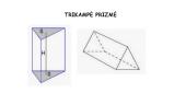 Prizmė. Prizmės paviršiaus plotas ir tūris 14 puslapis