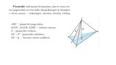Piramidės paviršiaus plotas. Piramidės tūris 3 puslapis