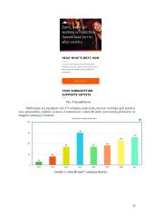 Internetinės audio, video platformos 11 puslapis