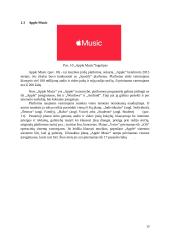 Internetinės audio, video platformos 12 puslapis