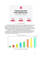Internetinės audio, video platformos 13 puslapis