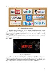 Internetinės audio, video platformos 14 puslapis