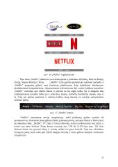 Internetinės audio, video platformos 16 puslapis