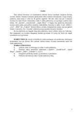 Internetinės audio, video platformos 4 puslapis