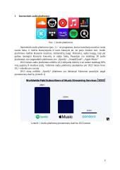 Internetinės audio, video platformos 5 puslapis