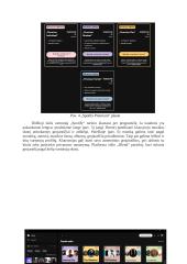 Internetinės audio, video platformos 8 puslapis