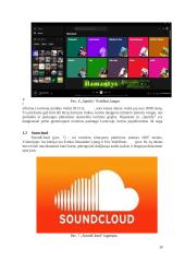 Internetinės audio, video platformos 9 puslapis