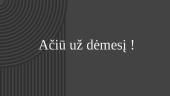 Ar Lietuva atsakinga už žydų likimą? 17 puslapis