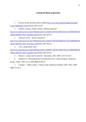 Miestų plėtrą įtakojantys procesai 13 puslapis