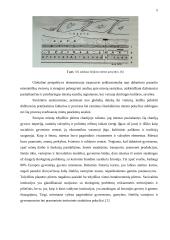 Miestų plėtrą įtakojantys procesai 5 puslapis