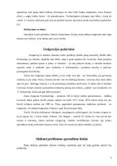 Migracija Lietuvoje 4 puslapis