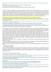 Mamatės paveikslas, regimas dukters Irusios akimis. Teksto suvokimas 4 puslapis