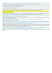 Mamatės paveikslas, regimas dukters Irusios akimis. Teksto suvokimas 5 puslapis