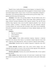 Migracijos Lietuvoje analizė 4 puslapis