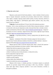 Migracijos Lietuvoje analizė 5 puslapis