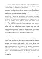 Migracijos Lietuvoje analizė 6 puslapis