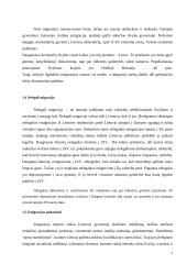 Migracijos Lietuvoje analizė 7 puslapis