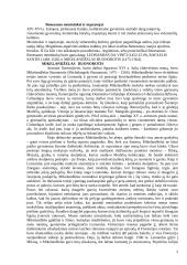 Mikelandželas Buonorotis 2 puslapis