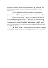 Mykolo Žilinsko meno galerija 4 puslapis