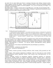 Mikrobiologiniai procesai buitinėse nuotekose 4 puslapis