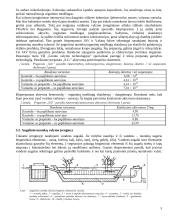 Mikrobiologiniai procesai buitinėse nuotekose 5 puslapis
